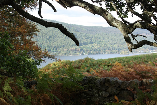 Scotland - The Falls of Acharn